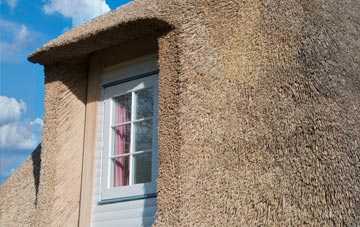 Trevance thatch roof disadvantages